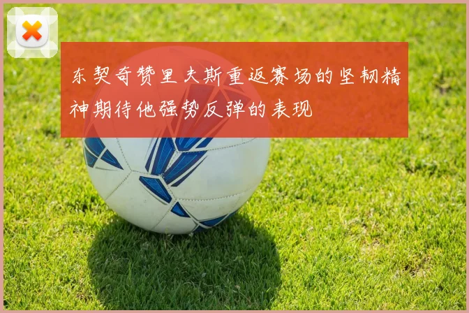 东契奇赞里夫斯重返赛场的坚韧精神期待他强势反弹的表现